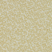 111868 Coral Anthology 05 Wallpapers By Anthology