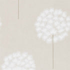 111885 Amity Paloma Wallpaper By Harlequin