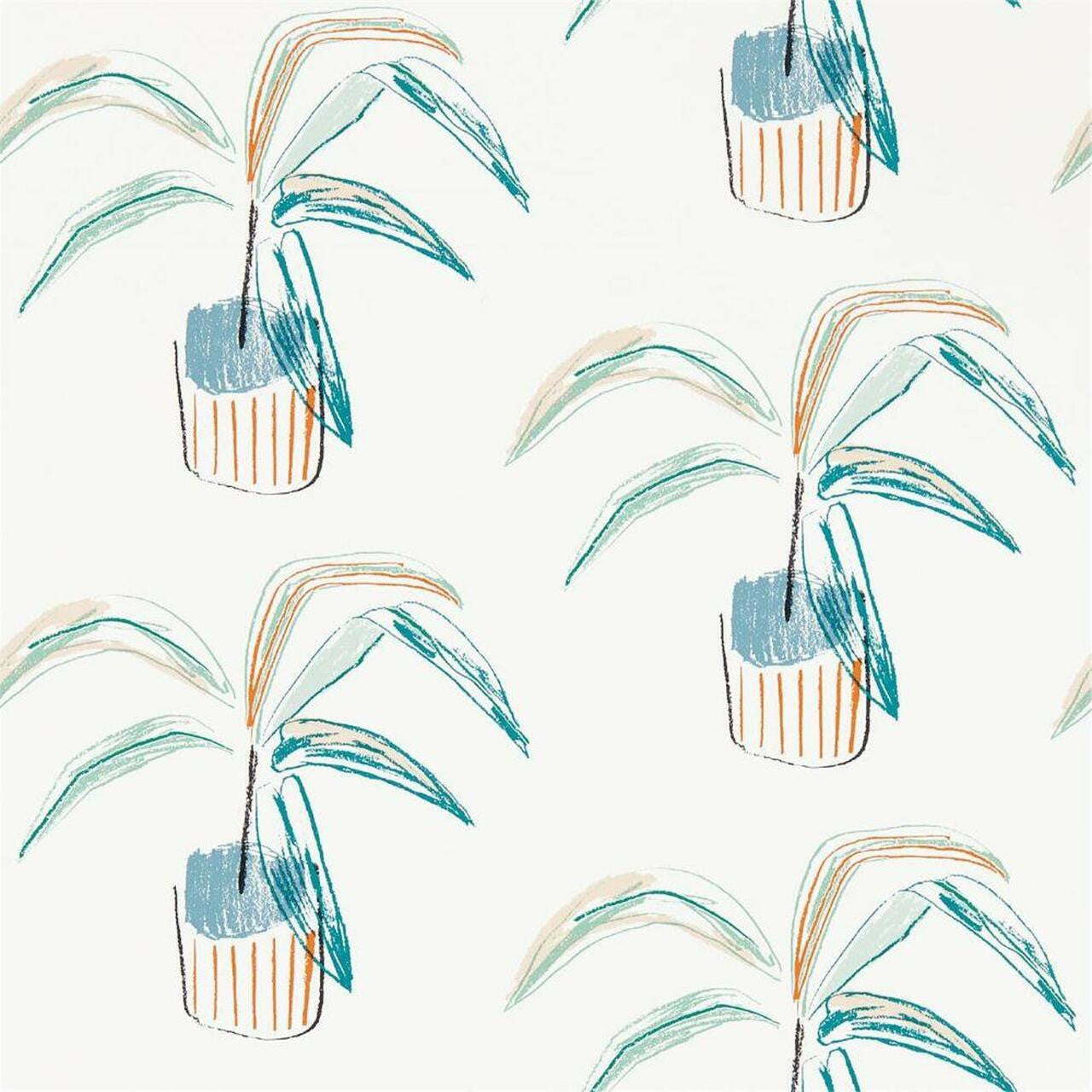 111990 Crassula Zanzibar Wallpaper By Scion