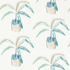 111990 Crassula Zanzibar Wallpaper By Scion