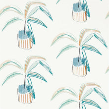 111990 Crassula Zanzibar Wallpaper By Scion