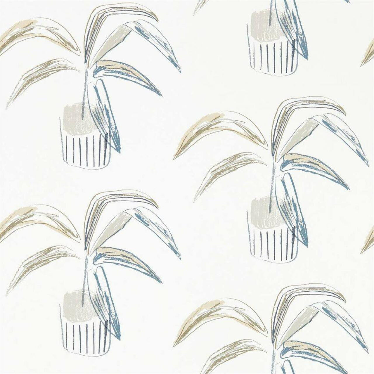 111991 Crassula Zanzibar Wallpaper By Scion