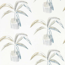 111991 Crassula Zanzibar Wallpaper By Scion