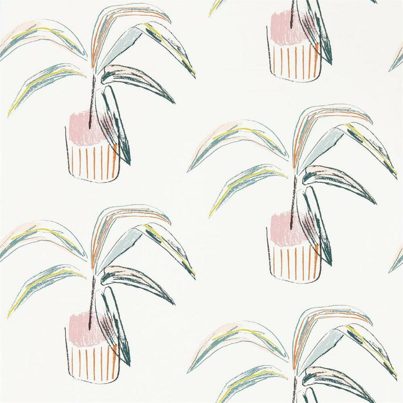 111992 Crassula Zanzibar Wallpaper By Scion