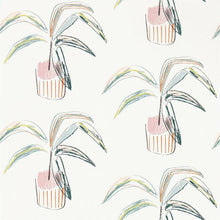 111992 Crassula Zanzibar Wallpaper By Scion