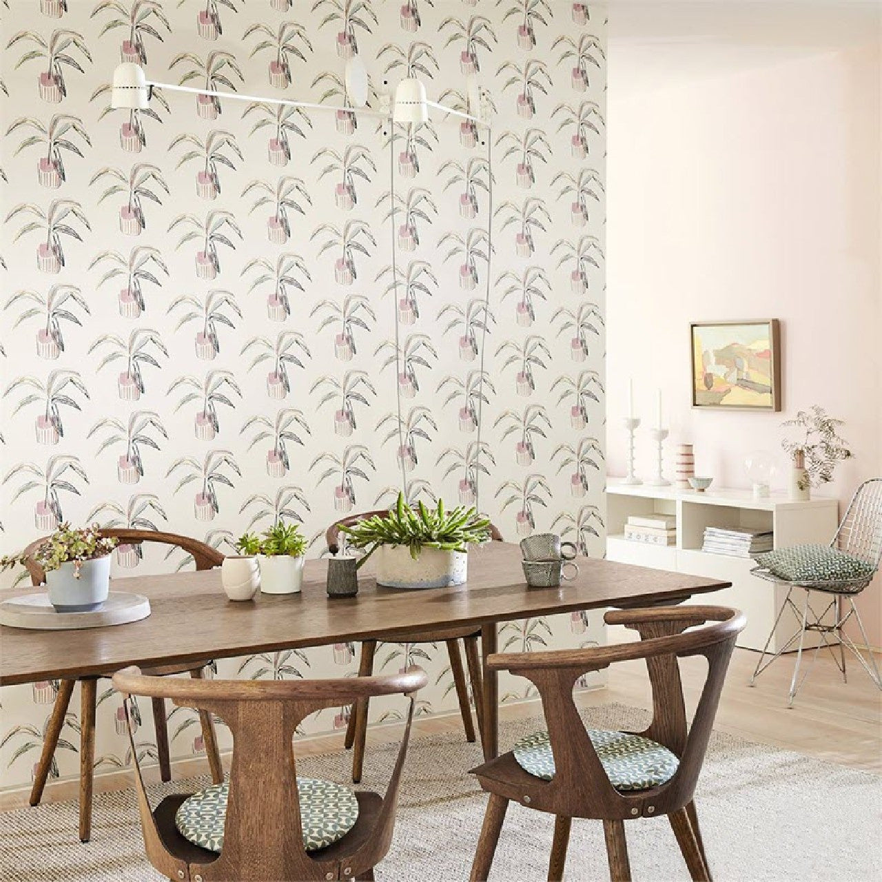 111990 Crassula Zanzibar Wallpaper By Scion