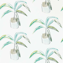 111993 Crassula Zanzibar Wallpaper By Scion