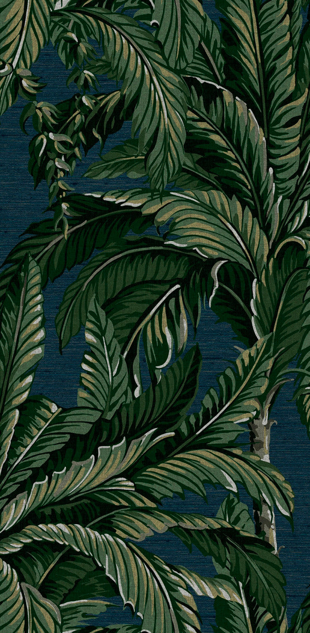 112017 Daintree Explorer Wallpaper by Graham and Brown