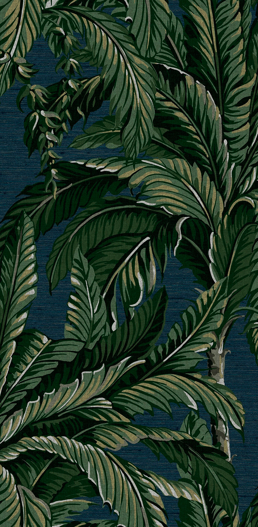 112017 Daintree Explorer Wallpaper by Graham and Brown