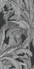 112019 Daintree Explorer Wallpaper by Graham and Brown
