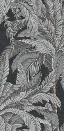 112019 Daintree Explorer Wallpaper by Graham and Brown