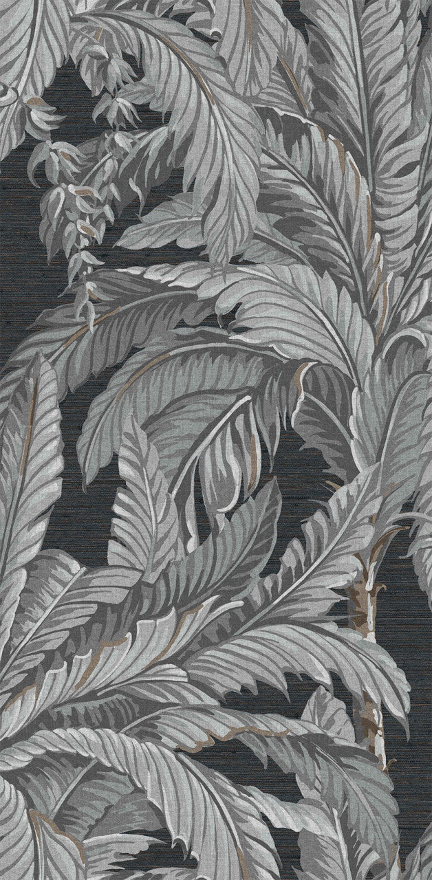 112019 Daintree Explorer Wallpaper by Graham and Brown