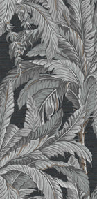 112019 Daintree Explorer Wallpaper by Graham and Brown