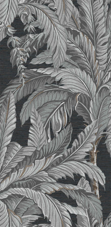 112019 Daintree Explorer Wallpaper by Graham and Brown