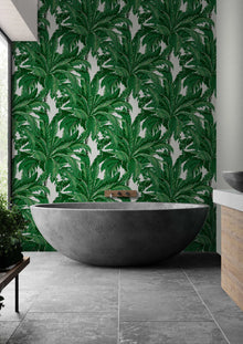 112020 Daintree Explorer Wallpaper by Graham and Brown