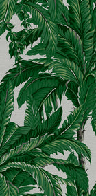 112020 Daintree Explorer Wallpaper by Graham and Brown