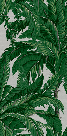 112020 Daintree Explorer Wallpaper by Graham and Brown