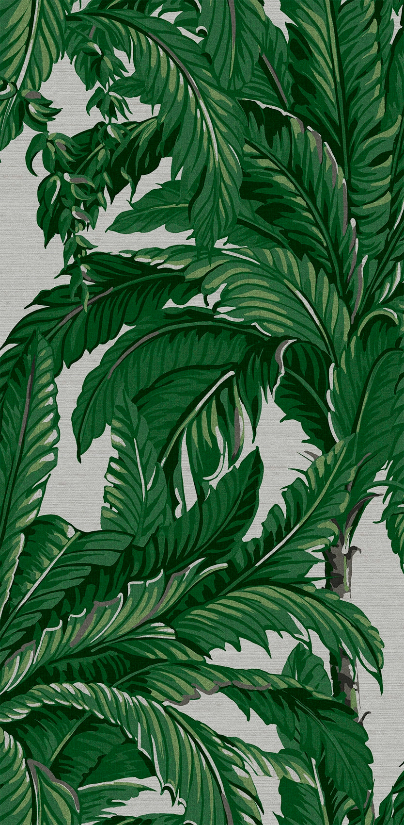 112020 Daintree Explorer Wallpaper by Graham and Brown