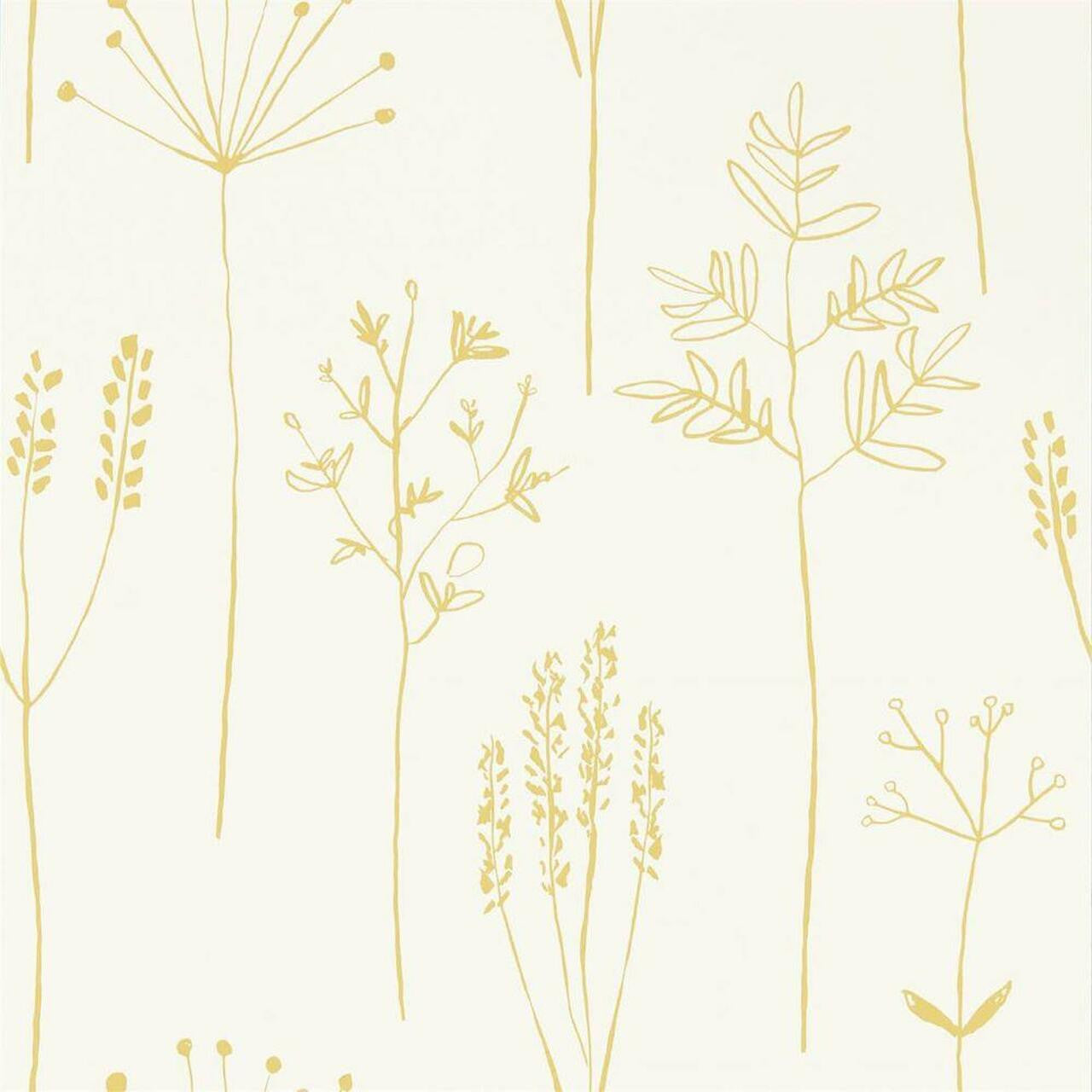 112021 Stipa Zanzibar Wallpaper By Scion