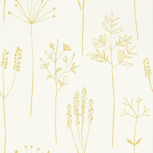 112021 Stipa Zanzibar Wallpaper By Scion