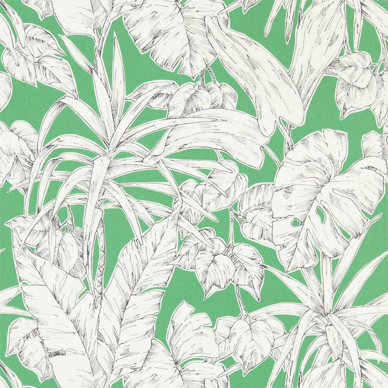 112024 Parlour Palm Zanzibar Wallpaper By Scion