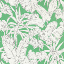 112024 Parlour Palm Zanzibar Wallpaper By Scion
