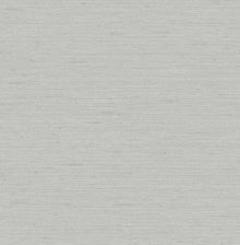 112026 Silk Texture Explorer Wallpaper by Graham and Brown