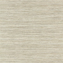 112114 Lisle Textured Walls Wallpaper By Harlequin