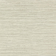 112115 Lisle Textured Walls Wallpaper By Harlequin