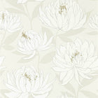 112131 Sebal Salinas Wallpaper By Harlequin