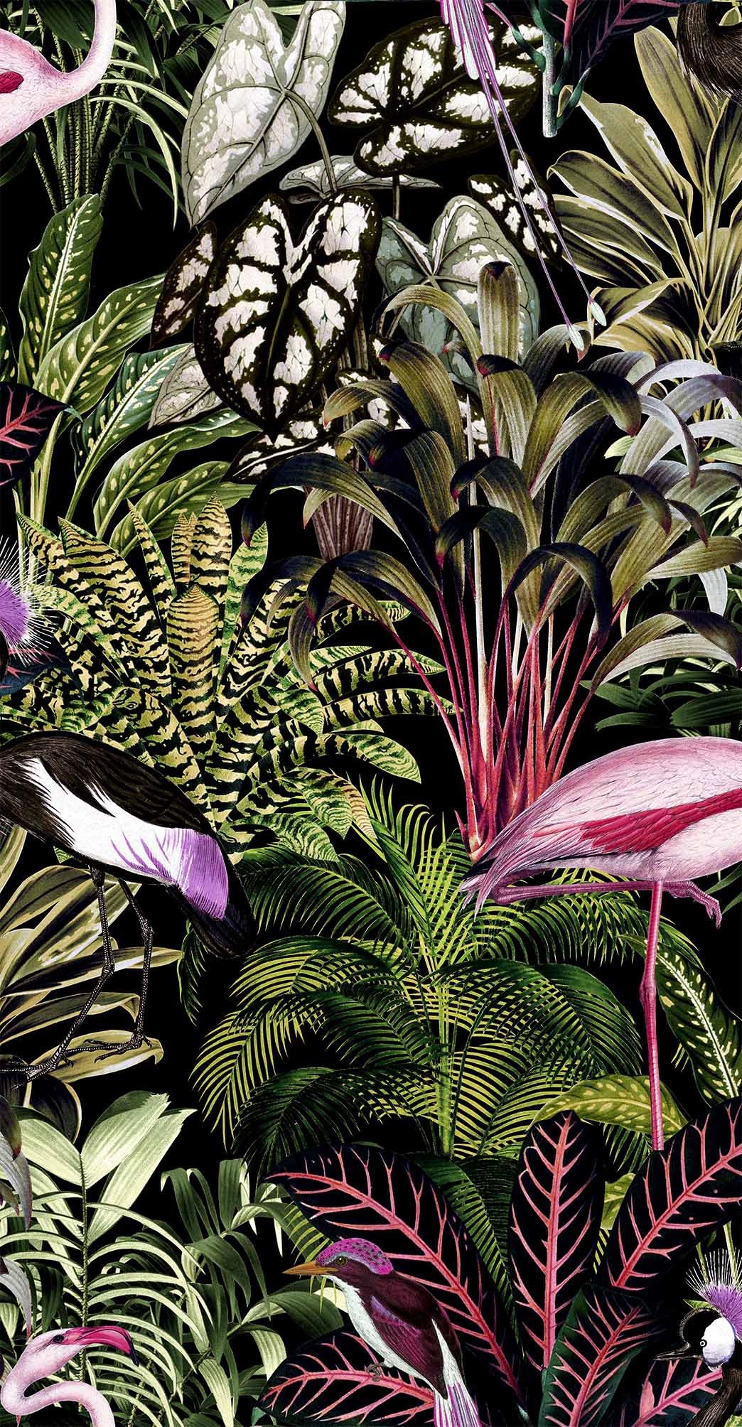 112193 Midnight Tropic Wallpaper by Graham and Brown