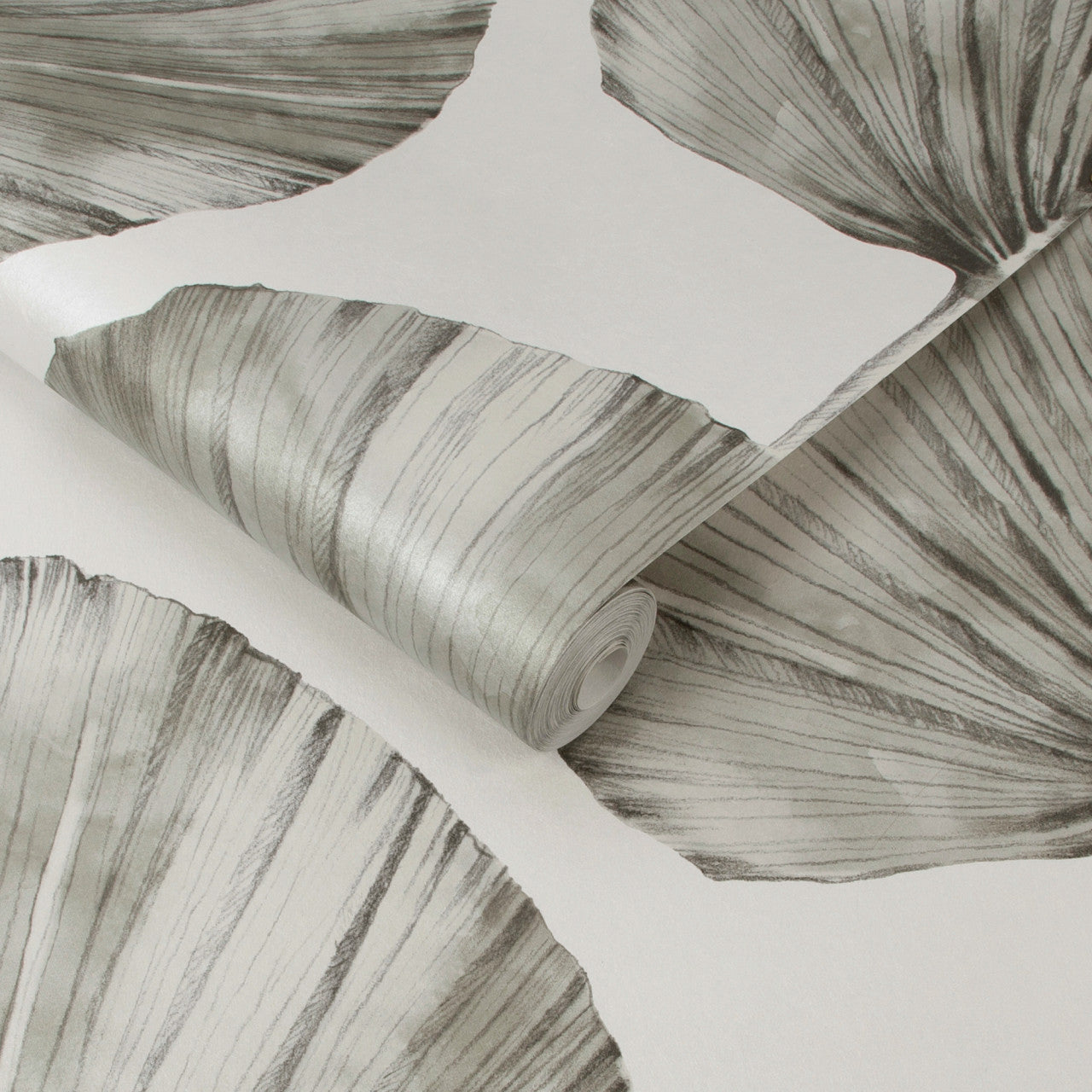 112196 Palm Fan Explorer Wallpaper by Graham and Brown