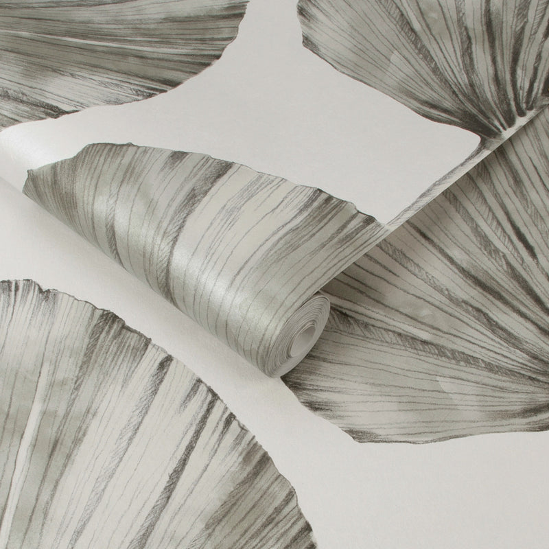 112196 Palm Fan Explorer Wallpaper by Graham and Brown