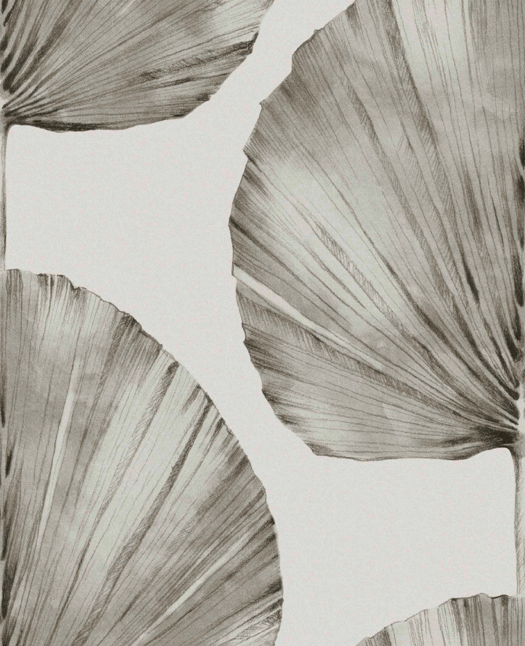 112196 Palm Fan Explorer Wallpaper by Graham and Brown