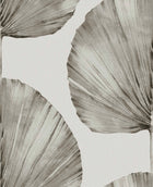 112196 Palm Fan Explorer Wallpaper by Graham and Brown