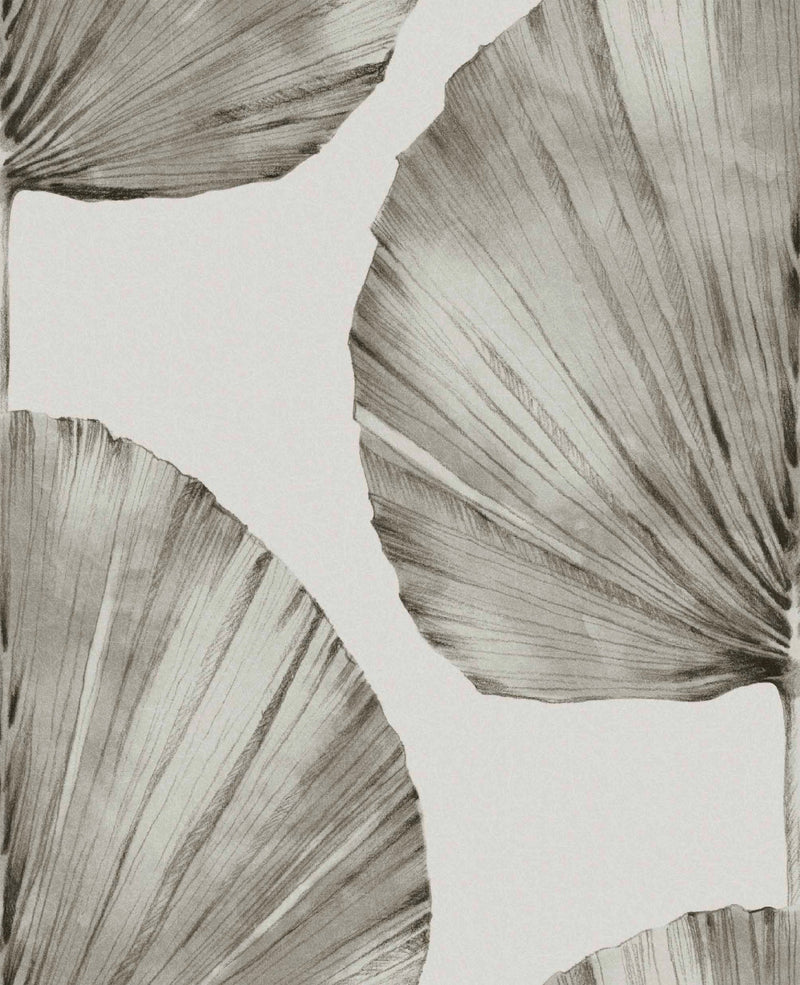 112196 Palm Fan Explorer Wallpaper by Graham and Brown