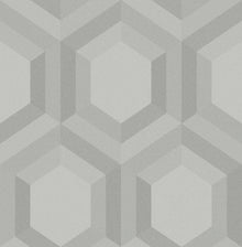 112203 Thales Oblique Wallpaper by Graham and Brown