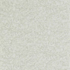 112560 Ammonite Anthology 07 Wallpaper By Anthology