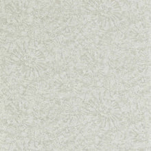 112560 Ammonite Anthology 07 Wallpaper By Anthology