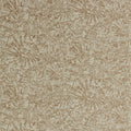 Ammonite Anthology 07 Wallpaper By Anthology
