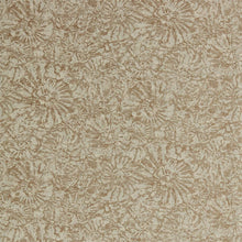 112561 Ammonite Anthology 07 Wallpaper By Anthology