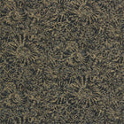 112562 Ammonite Anthology 07 Wallpaper By Anthology