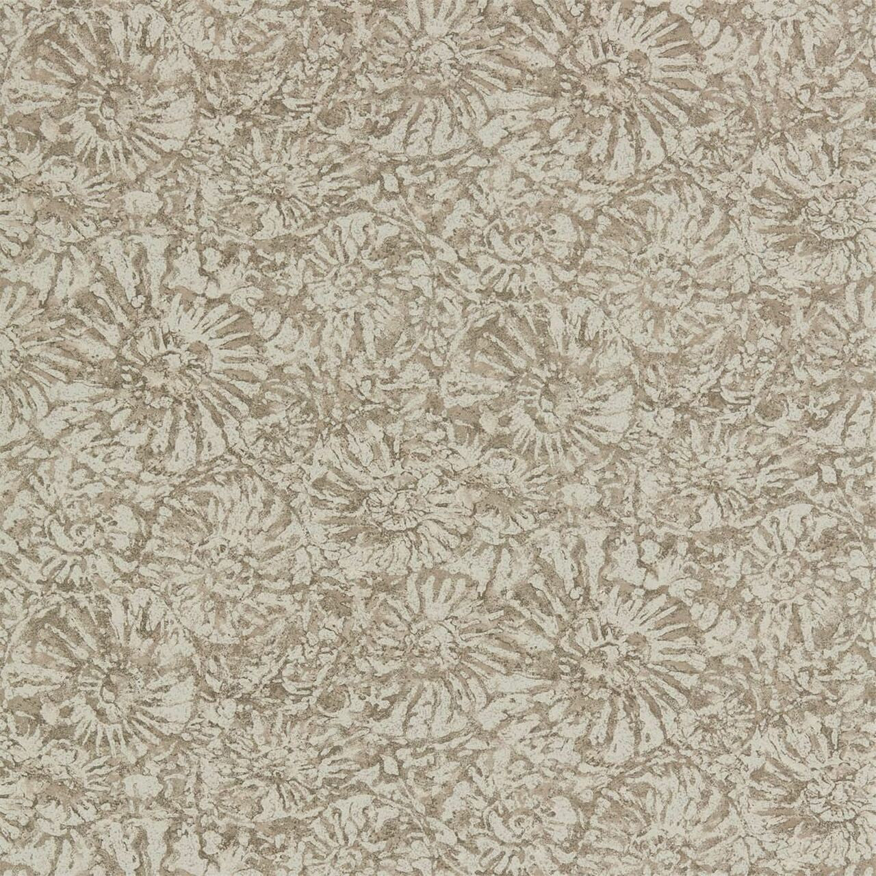 112564 Ammonite Anthology 07 Wallpaper By Anthology