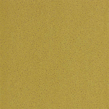 112591 Foxy Anthology 07 Wallpaper By Anthology