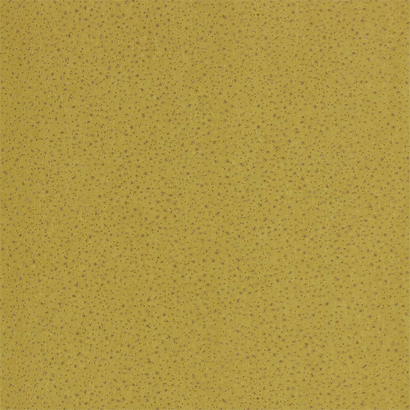 112591 Foxy Anthology 07 Wallpaper By Anthology