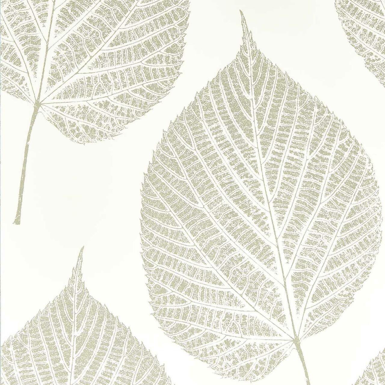 112609 ( HTEW112609 ) Leaf Colour Wallpaper By Harlequin
