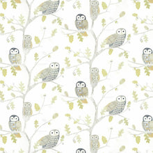 112627 ( HLTF112627 ) Little Owls Book Of Little Treasures Wallpaper By Harlequin