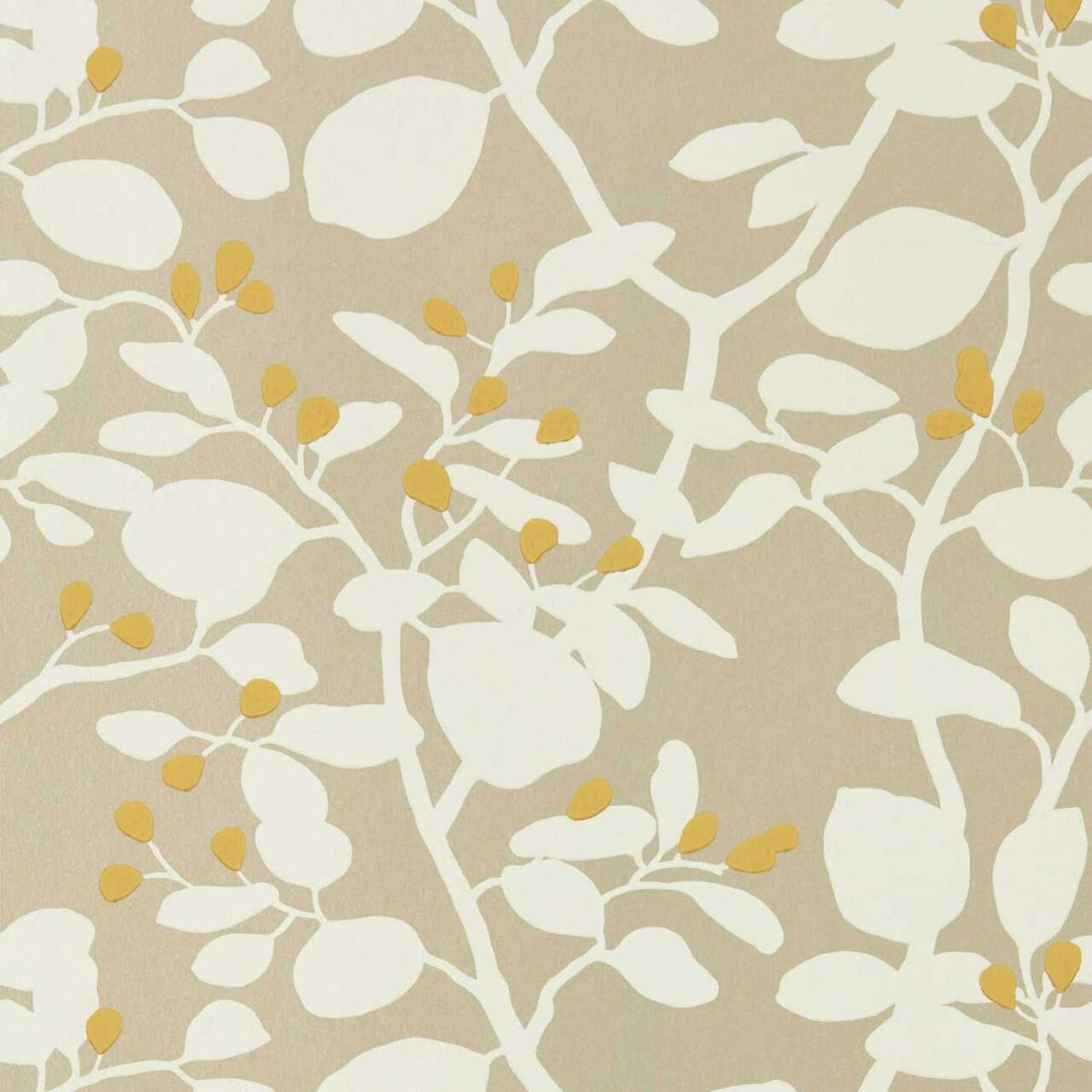 112773 ( HTEW112773 ) Ardisia Colour Wallpaper By Harlequin