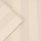 113337 Lille Pearlescent Stripe Wallpaper by Laura Ashley