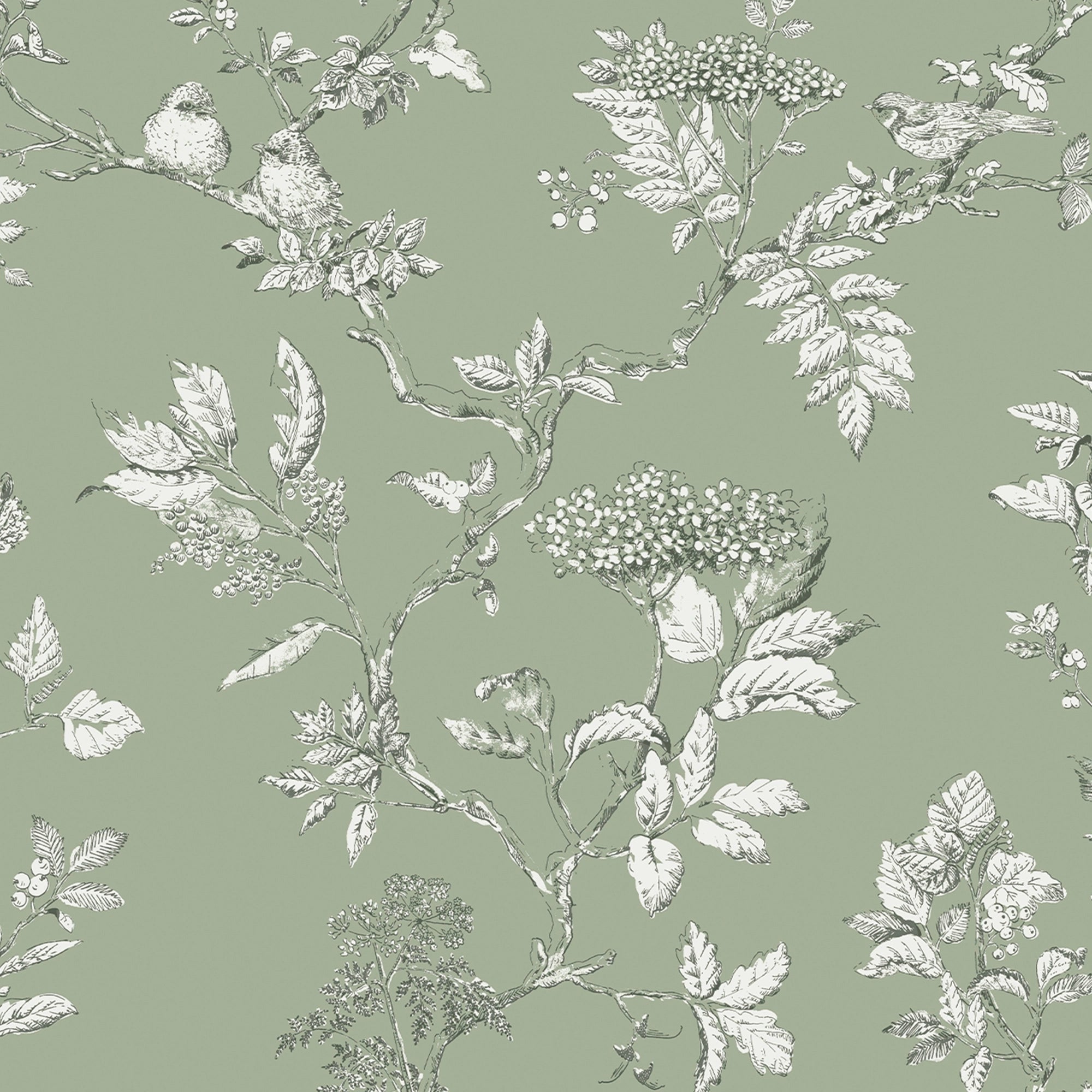 113348 Elderwood Sage Wallpaper by Laura Ashley